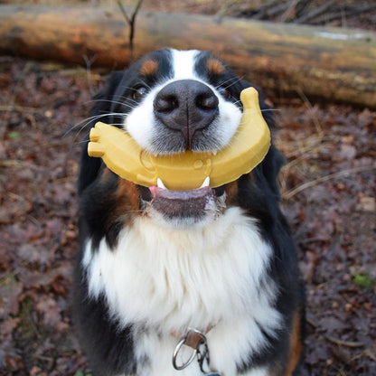 Garden Bites Fruity Friends Snack para perros L 3 uds Duvo